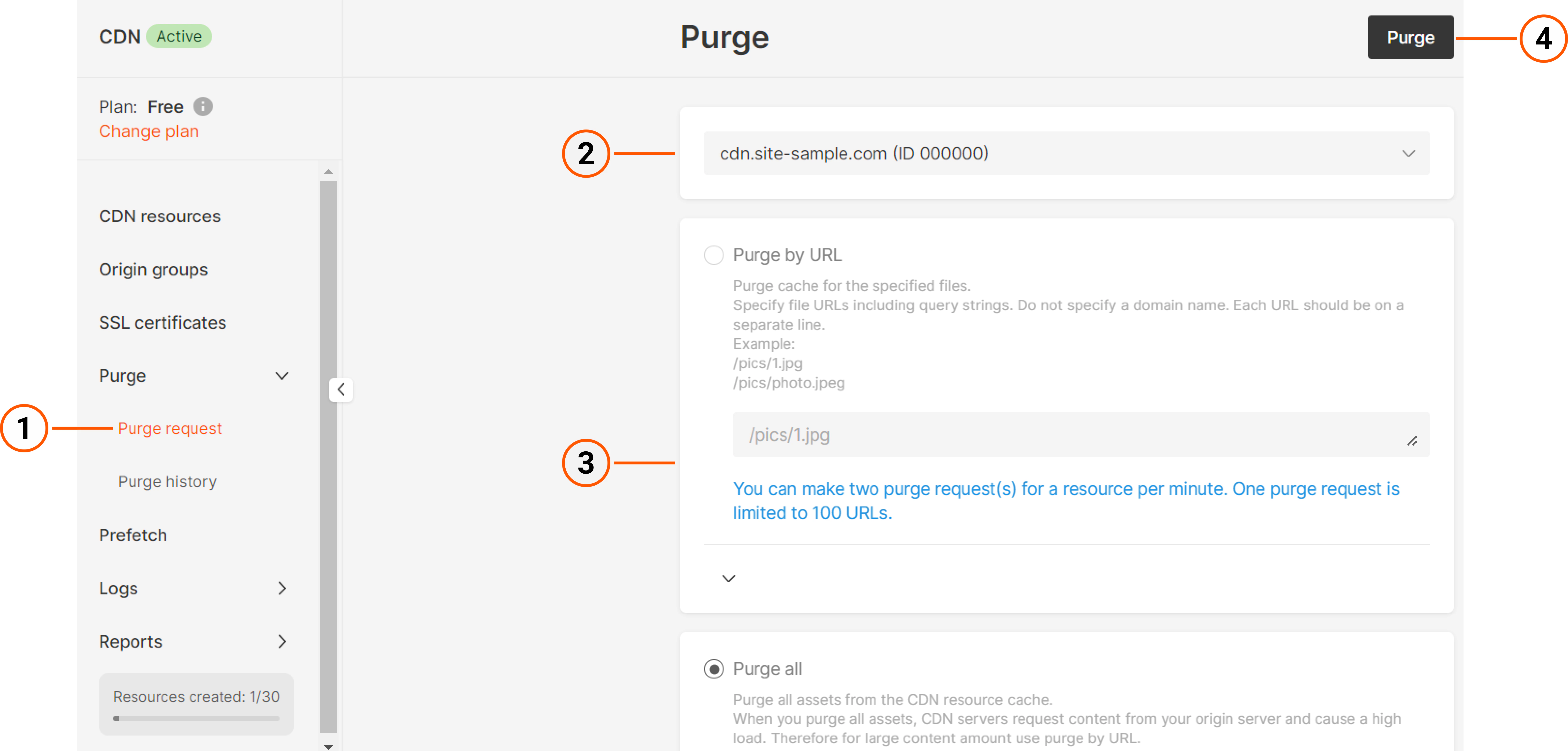 Purge section overview