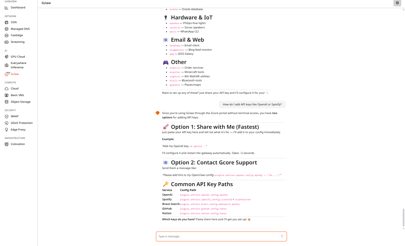 Gclaw showing API key configuration options