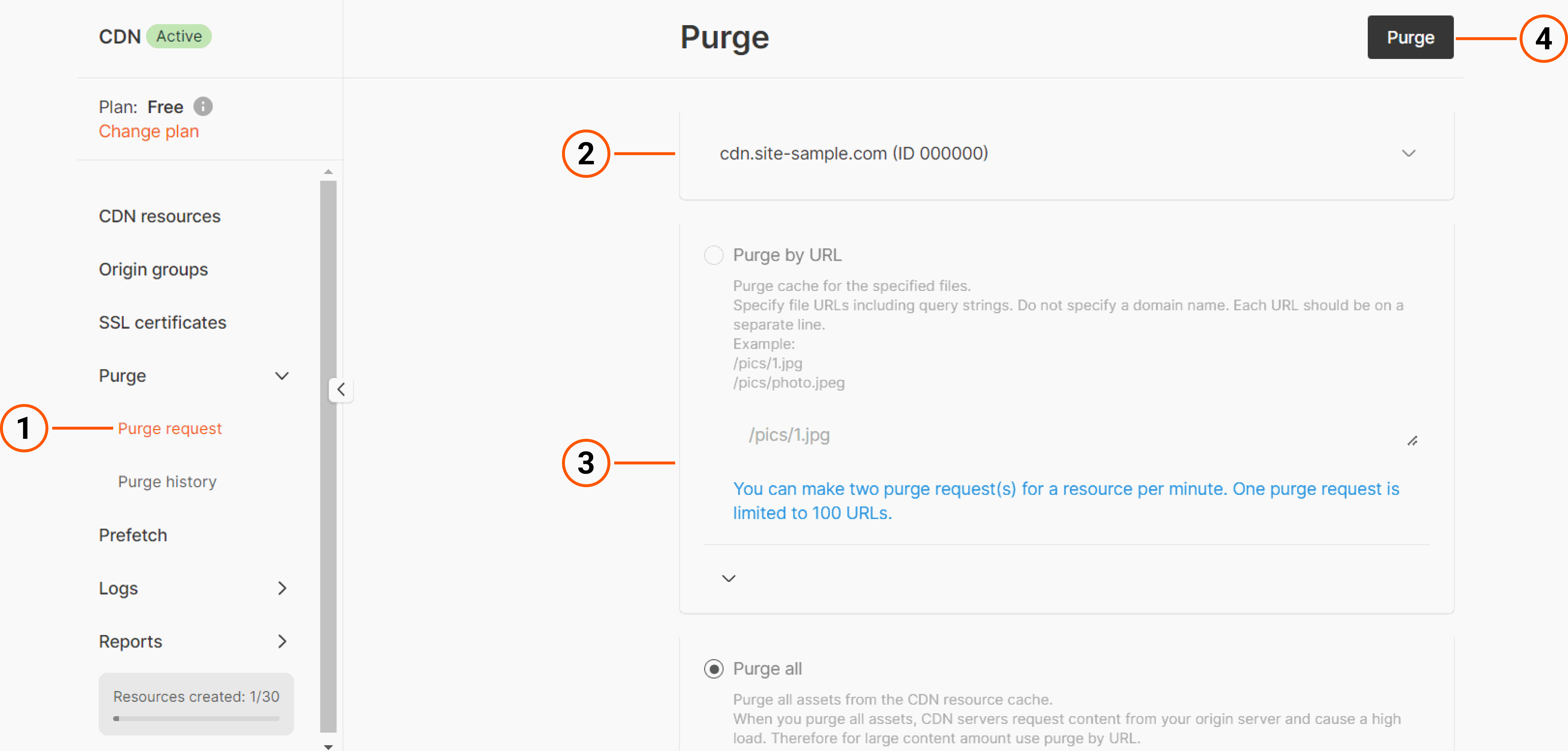 Purge section overview