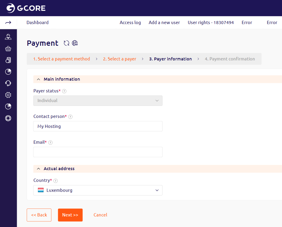 Step 3: Payer information with Contact person, Email, and Country fields