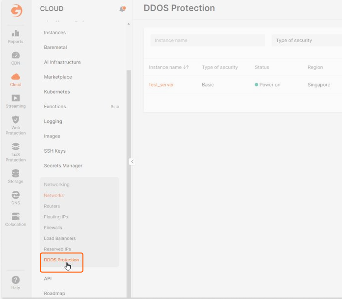 DDoS Protection