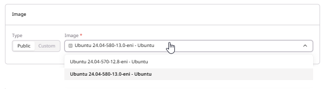 Image section with Public and Custom tabs and Ubuntu image dropdown