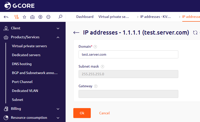Domain field in the IP address settings