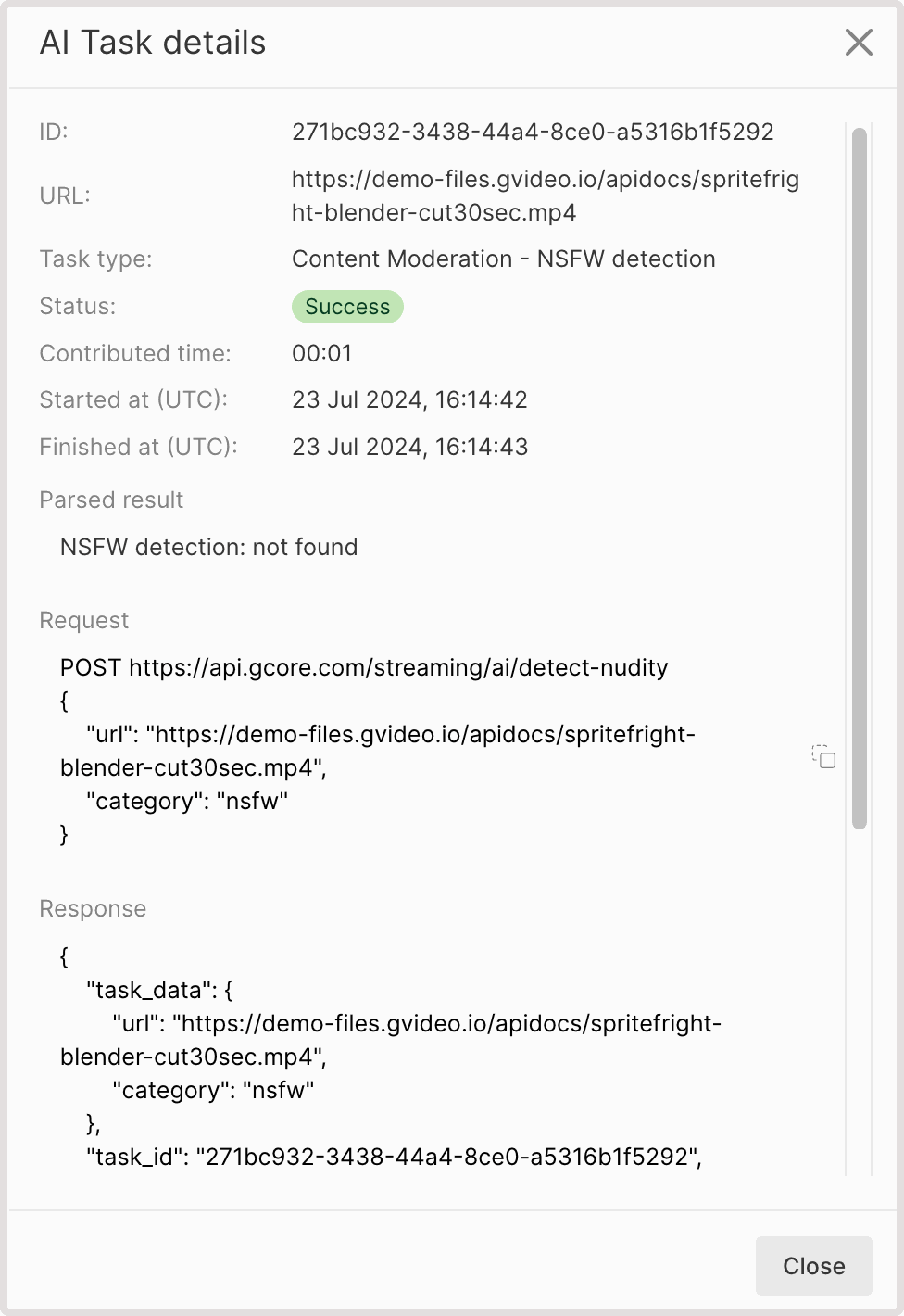 NSFW detection task details
