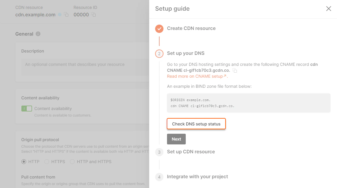 Check DNS setup status