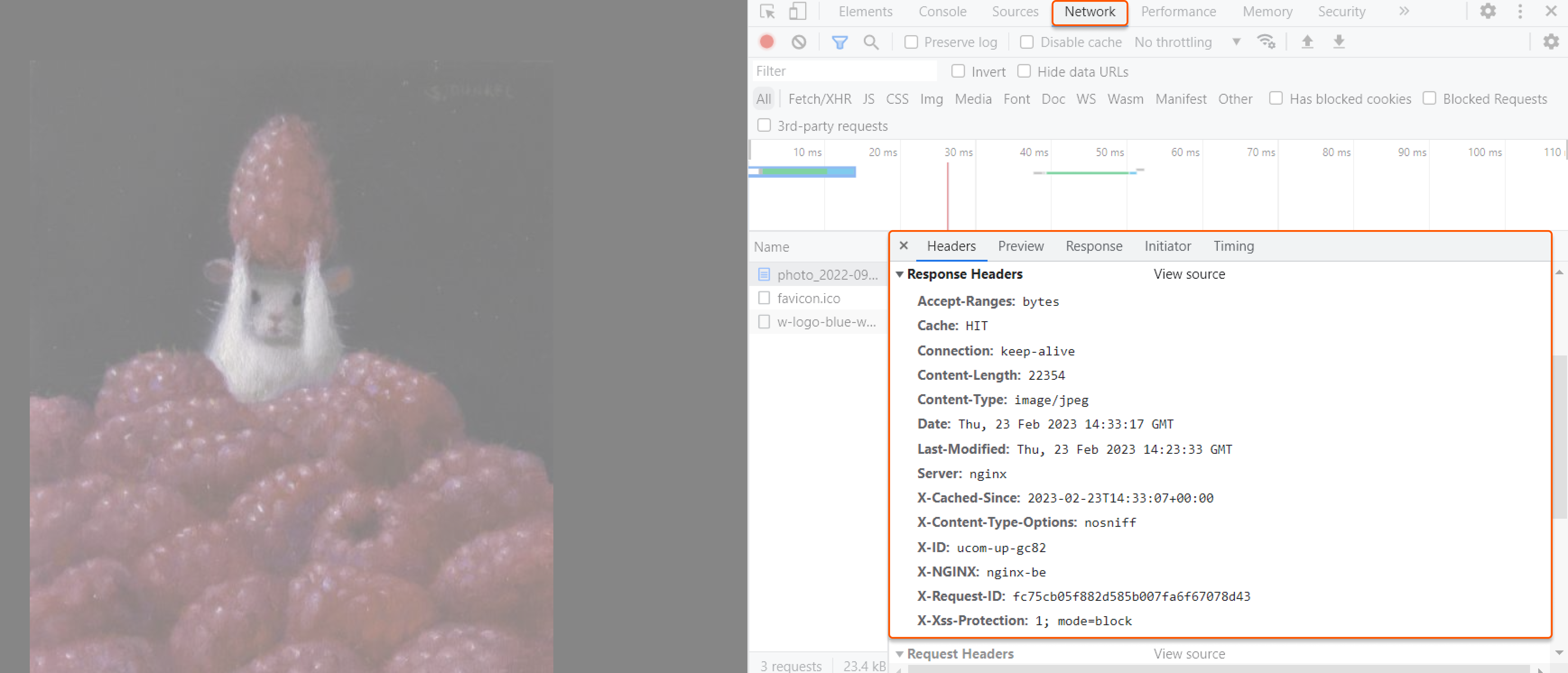 Headers tab