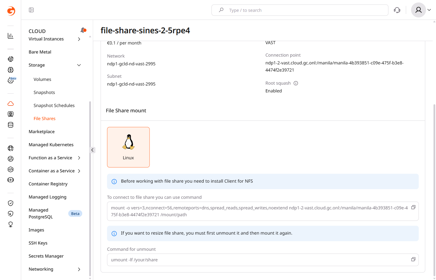 VAST file share Overview tab with mount command