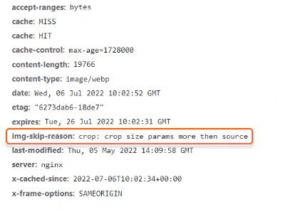 Check HTTP headers