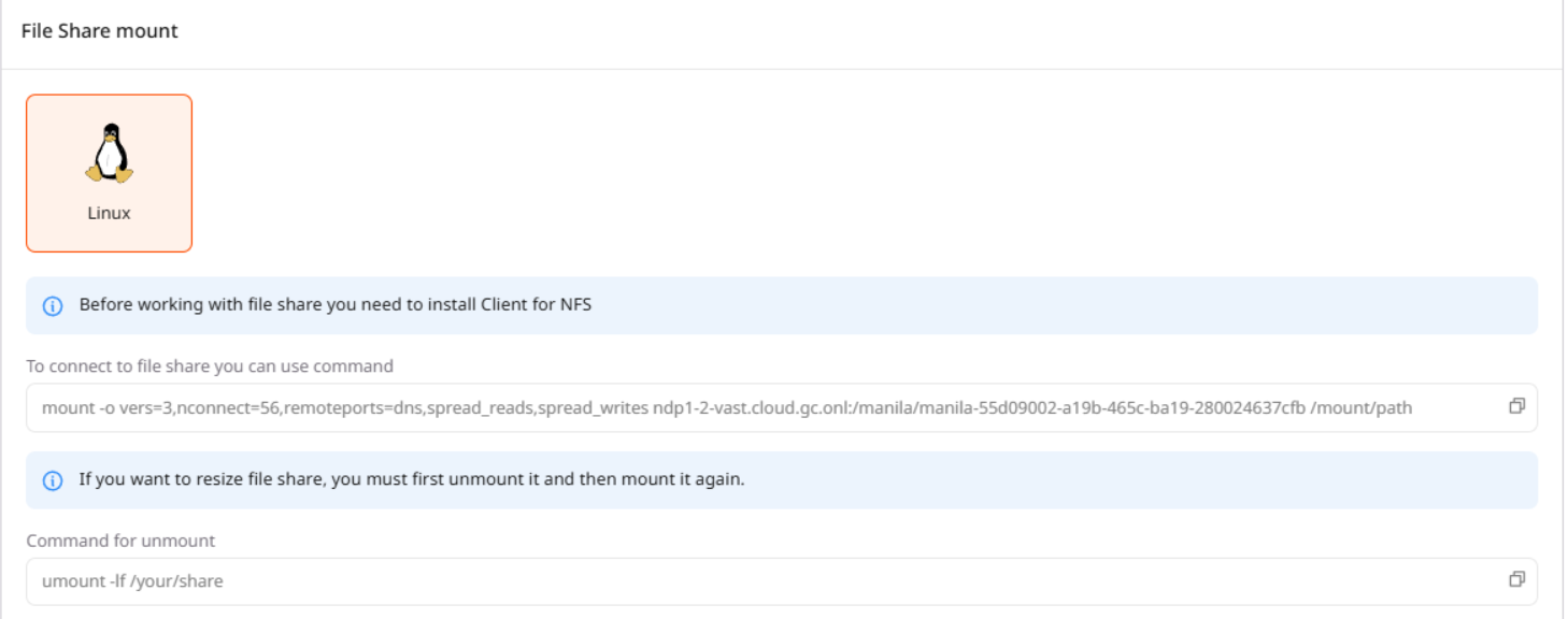 File Share Mount Pn