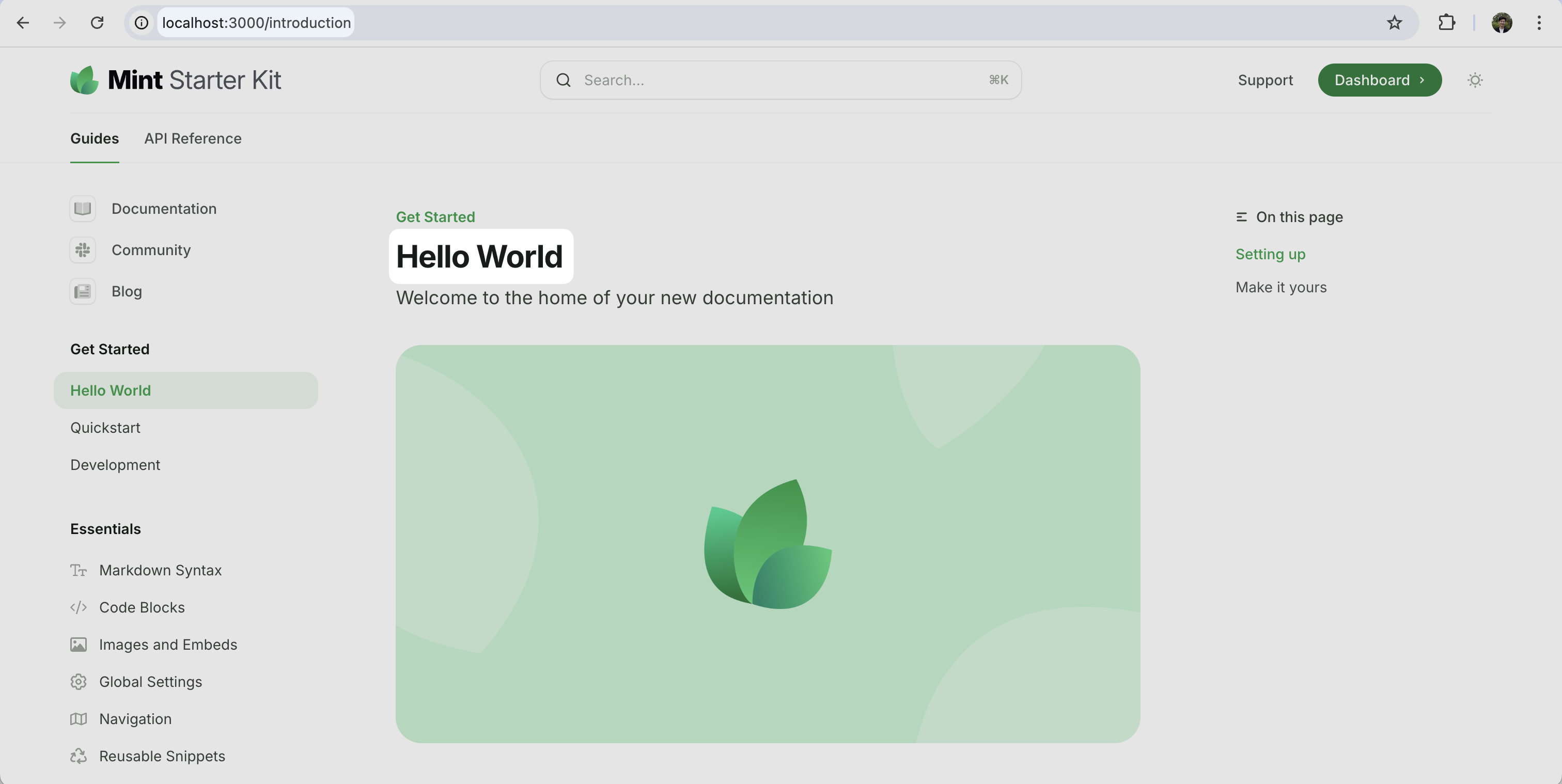 Mintlify Dev