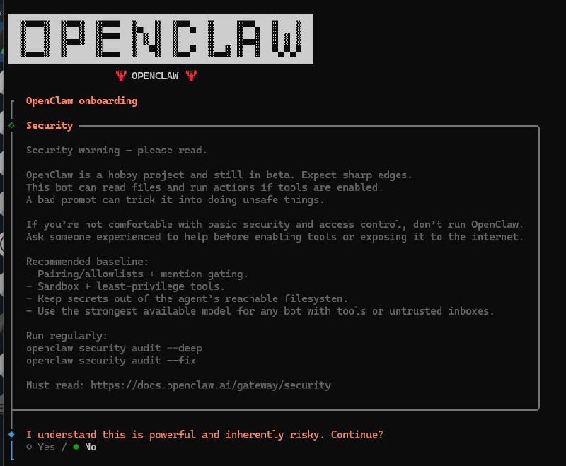 OpenClaw 安装向导 - 安全警告