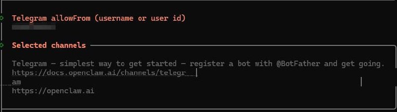 配置 Telegram allowFrom