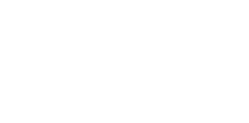 dark logo