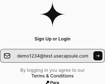 Para authentication modal showing test email demo1234@test.usecapsule.com