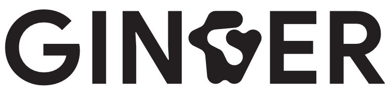 light logo