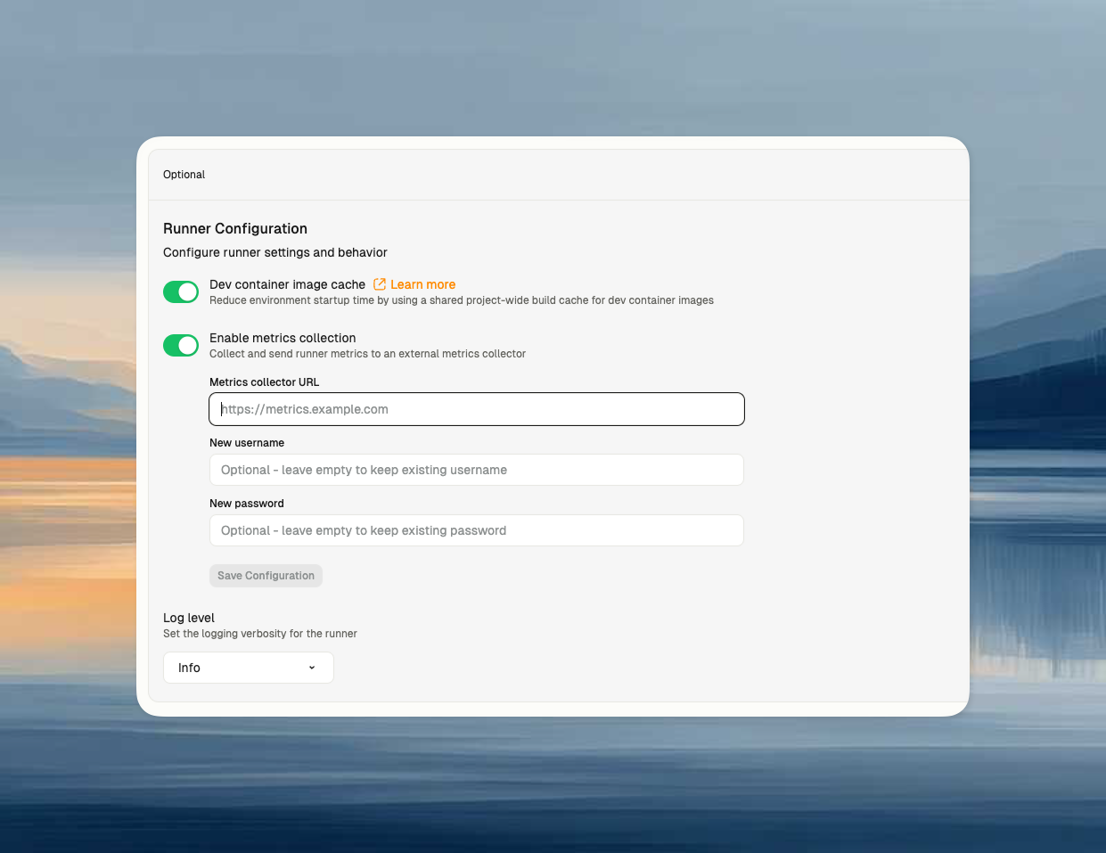 AWS runner configuration panel showing Dev container image cache toggle option
