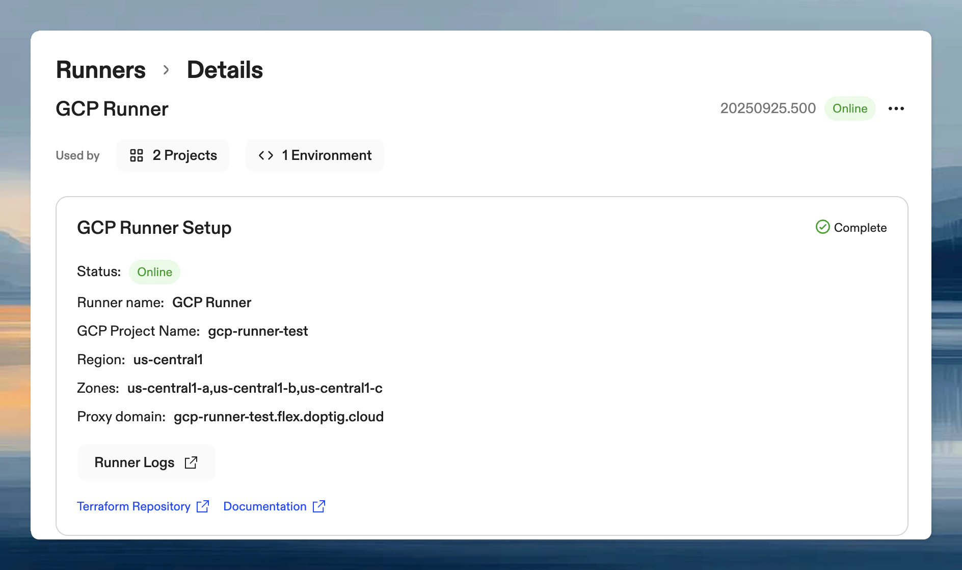 Runner details showing Online status with green indicator after successful deployment