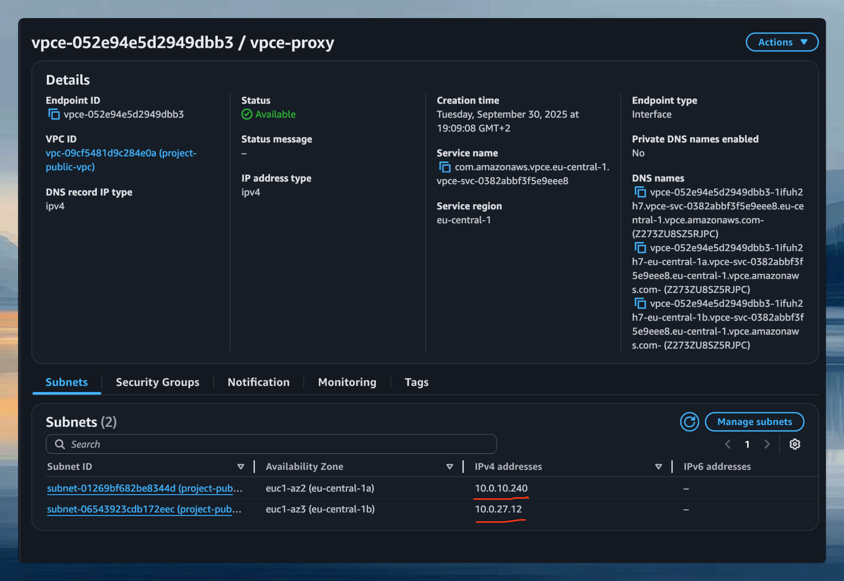 VPC Endpoint Private IPs