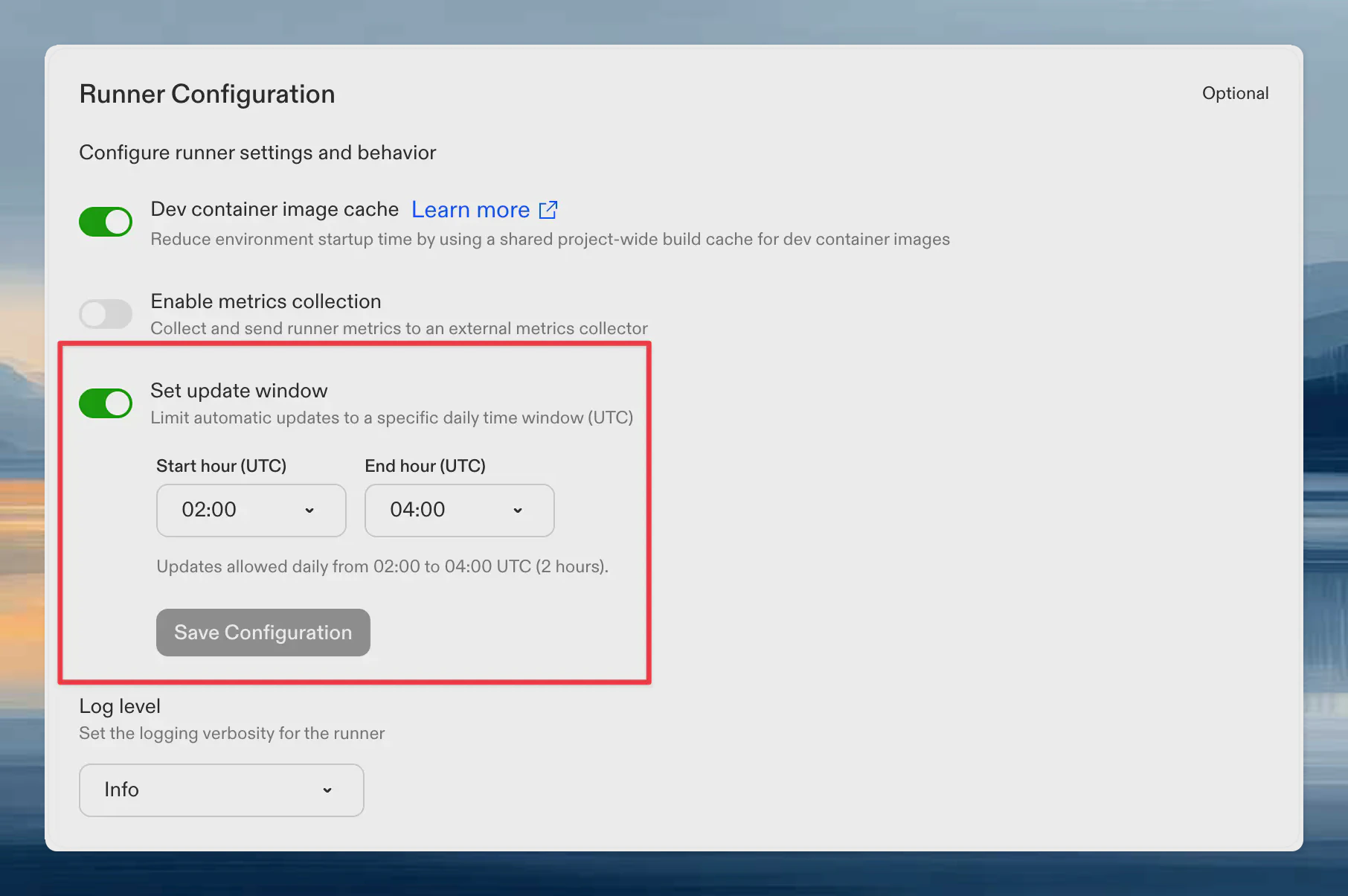 Runner configuration showing the update window settings with start and end hour selection