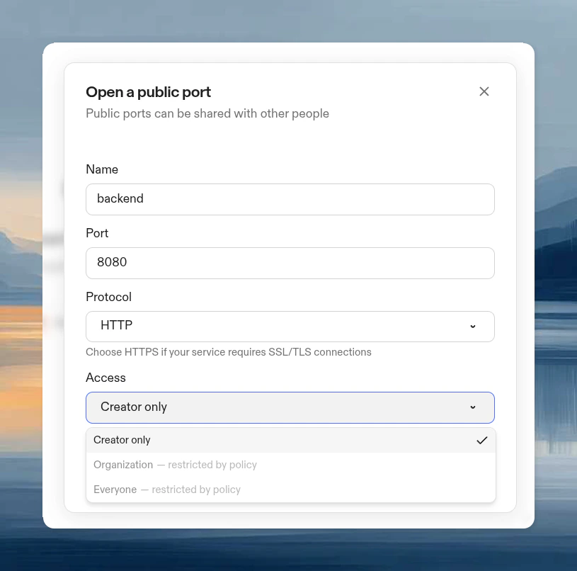 Open port dialog showing the port number, protocol selector, and access level selector