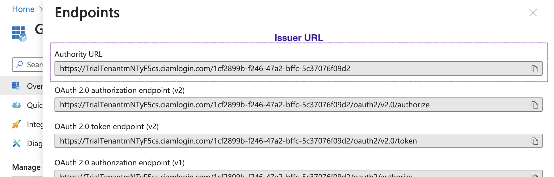 Endpoints issuer