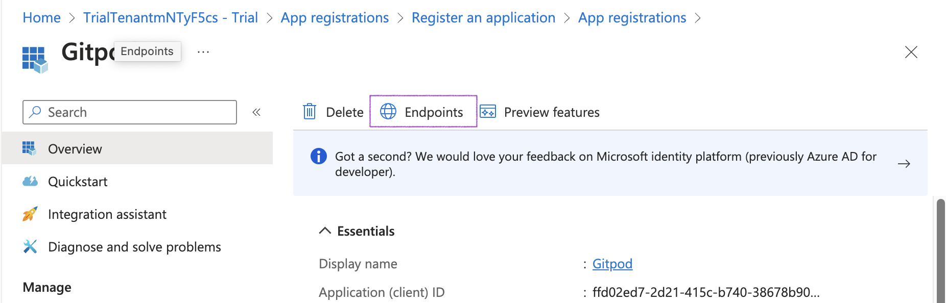 Endpoints tab