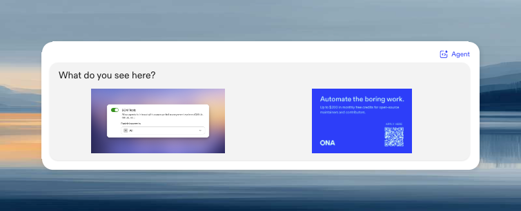 Conversation showing an attached image displayed inline in a user message