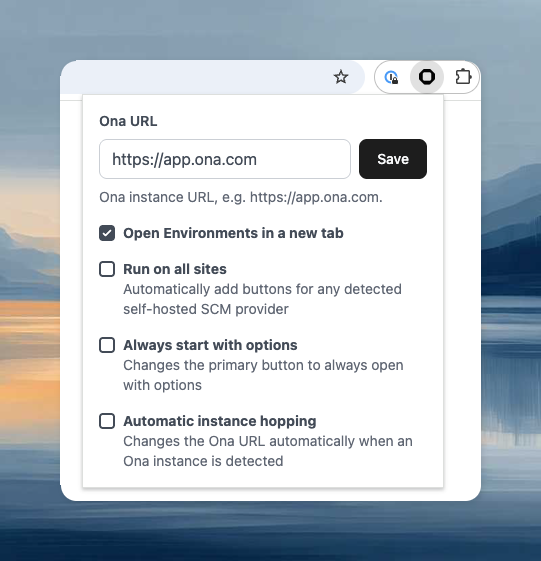 Browser extension settings