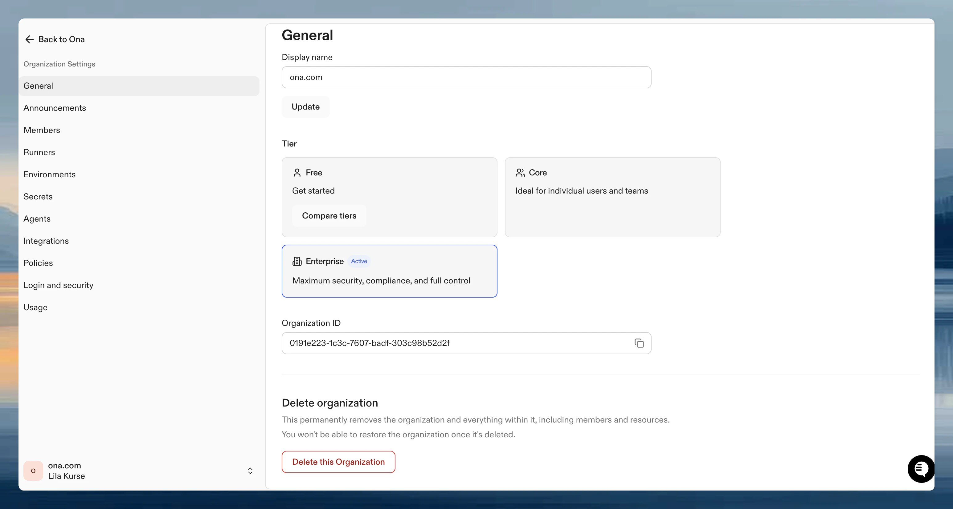 Organization general settings page showing display name, tier, organization ID, and delete organization