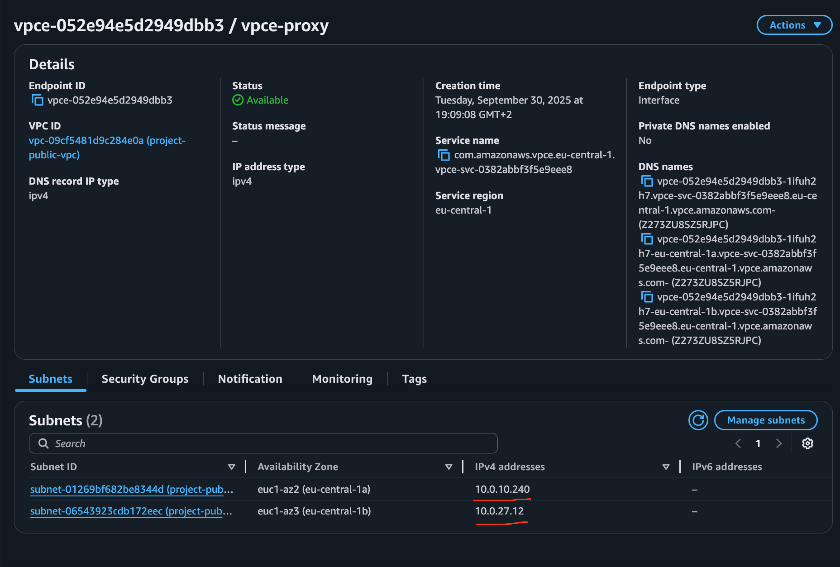 VPC Endpoint Private IPs