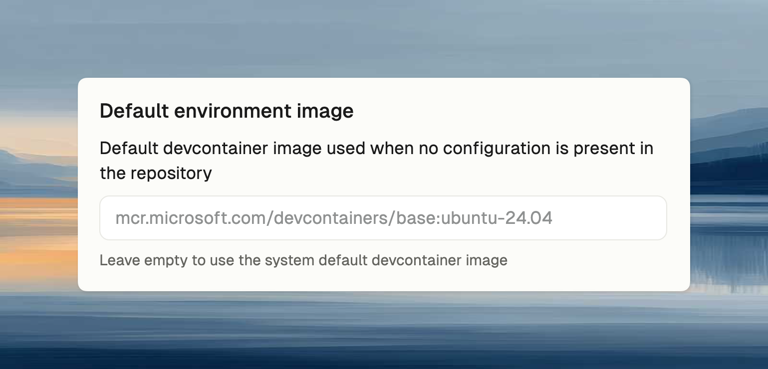 Default environment image