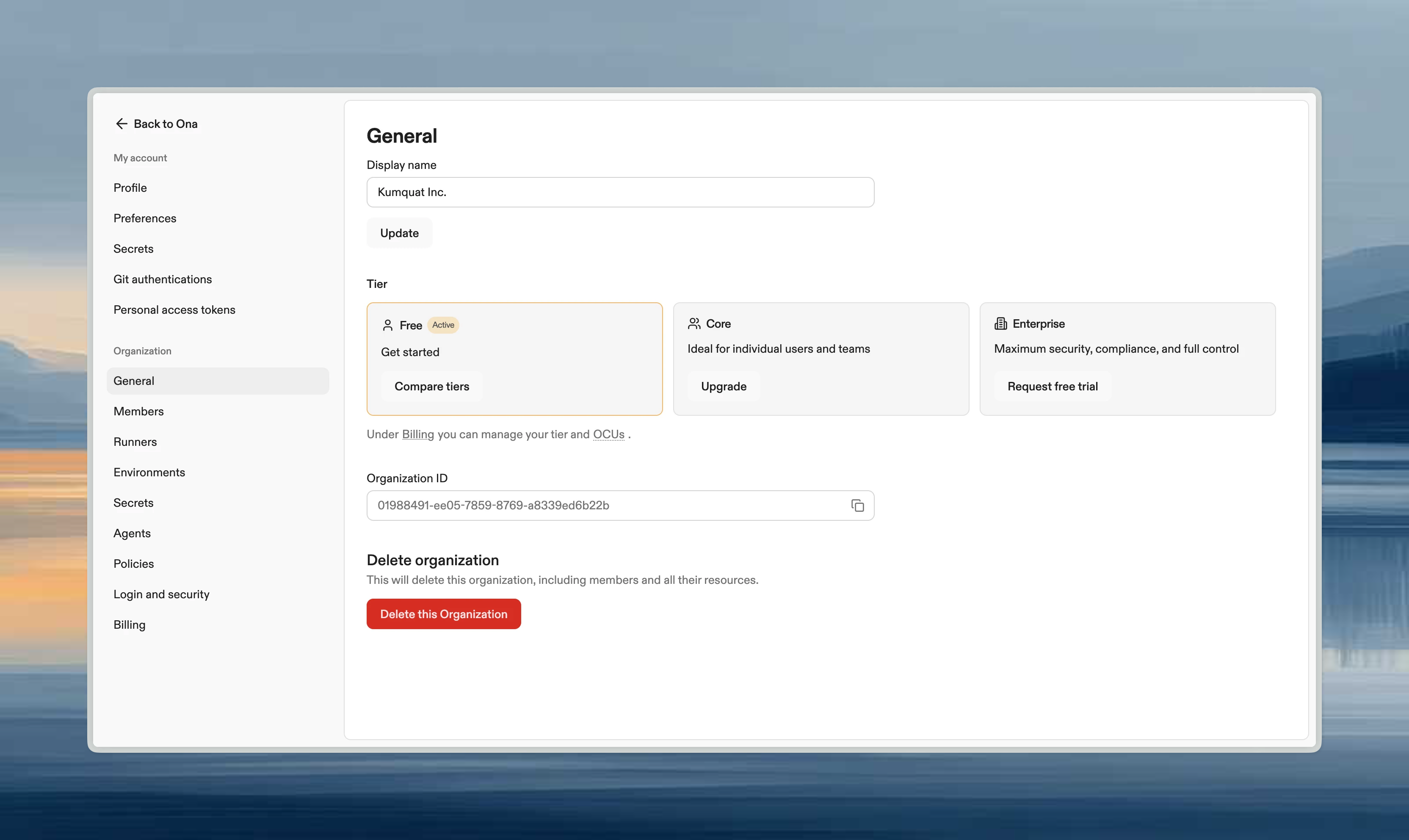 Danger Zone section with Delete organization button
