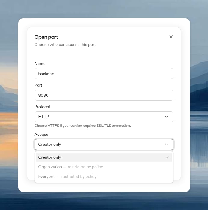 Open port dialog showing the port number, protocol selector, and access level selector