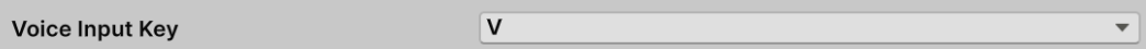 Unity STT Select Voice Input Key