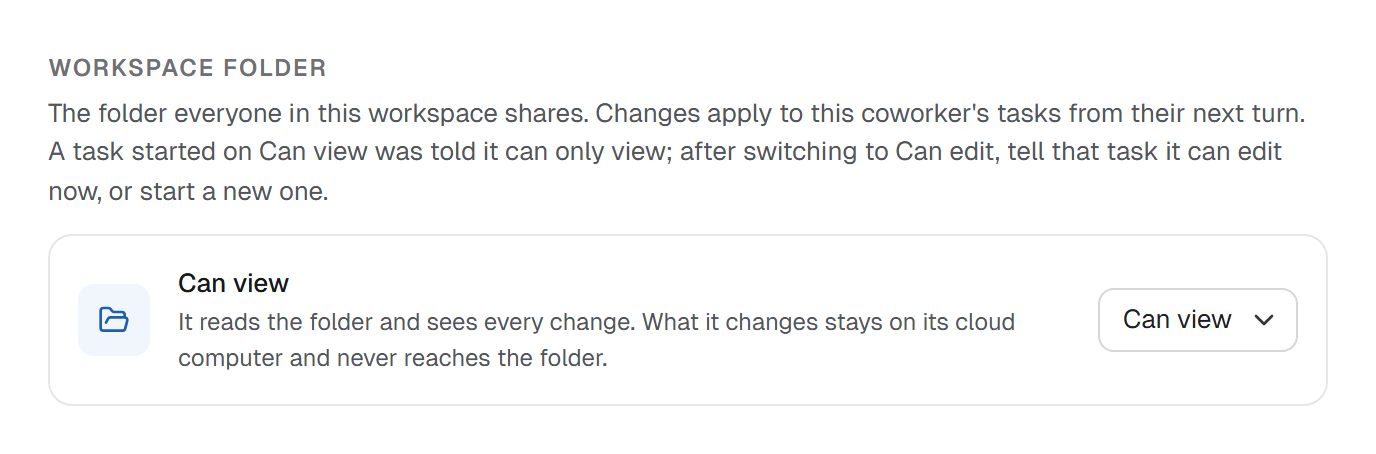 The Workspace folder section of a coworker's Capabilities tab with Can view chosen, explaining that what the coworker changes stays on its cloud computer and never reaches the folder