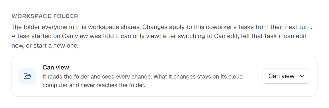 The Workspace folder section of a coworker's Capabilities tab with Can view chosen, explaining that what the coworker changes stays on its cloud computer and never reaches the folder