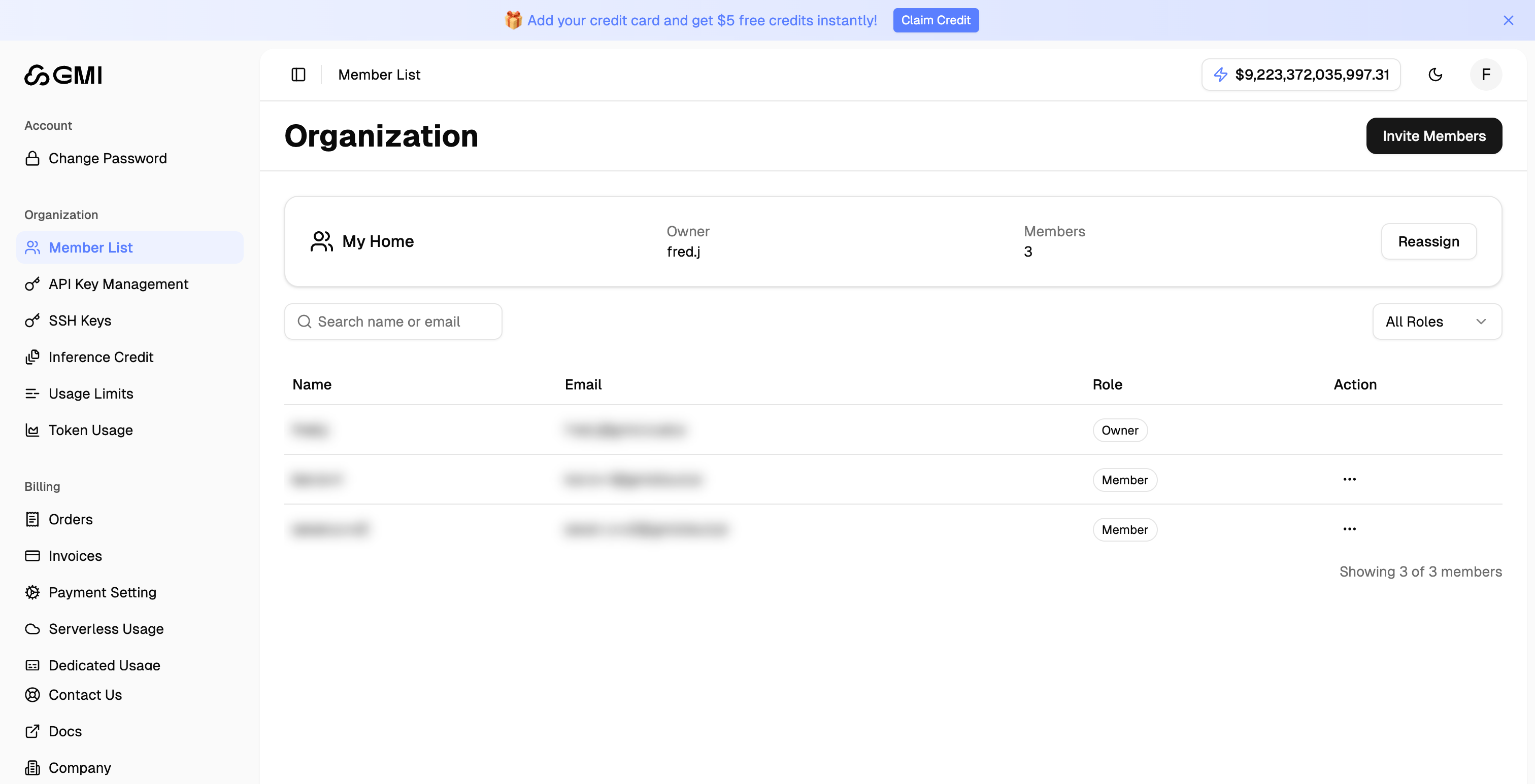 Organization - GMI Cloud Documentation