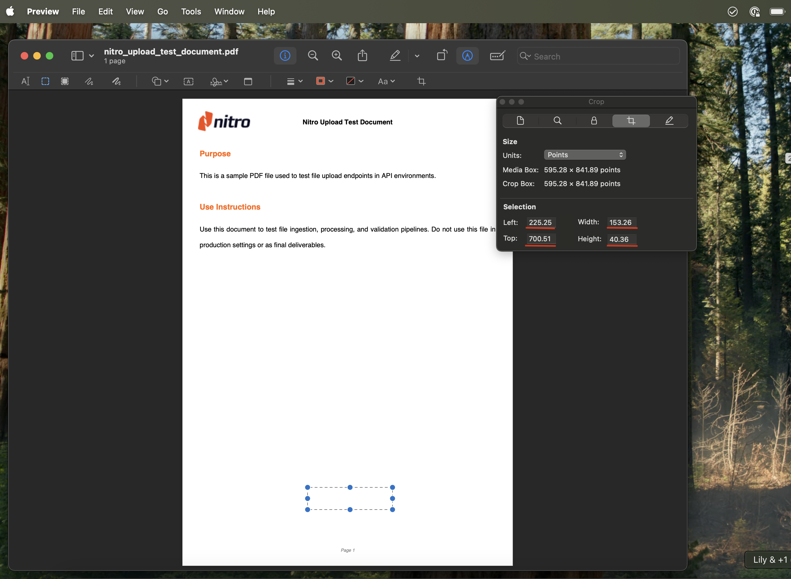 Screenshot of measurement of bottom-right corner
