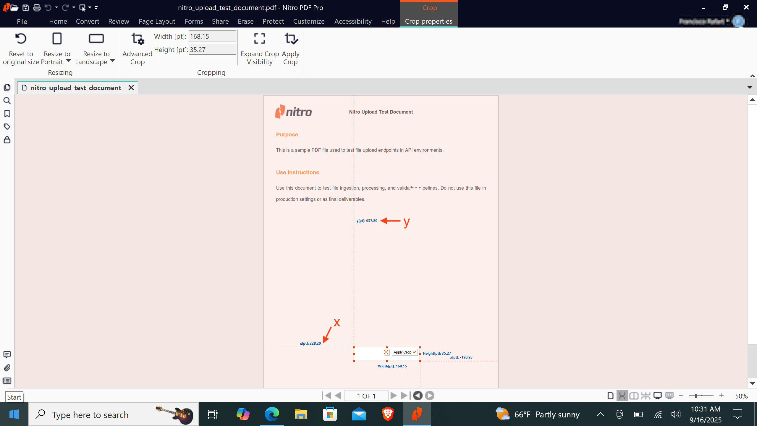 Nitro PDF first coordinate measurement