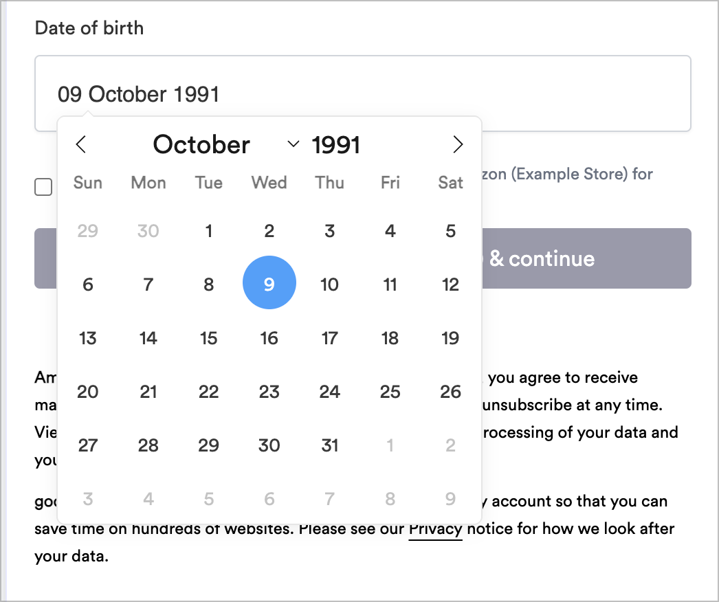 Date Input Example