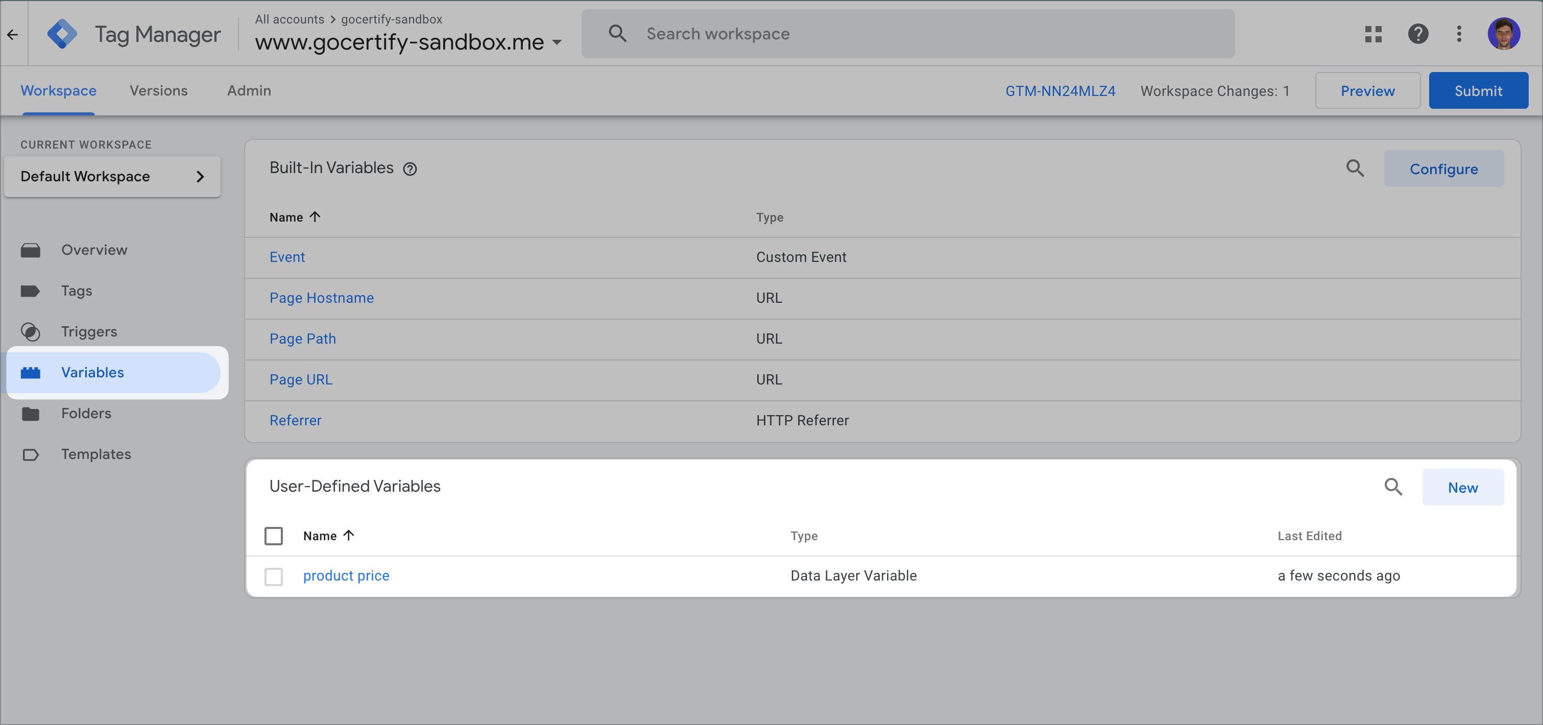 GTM Variables