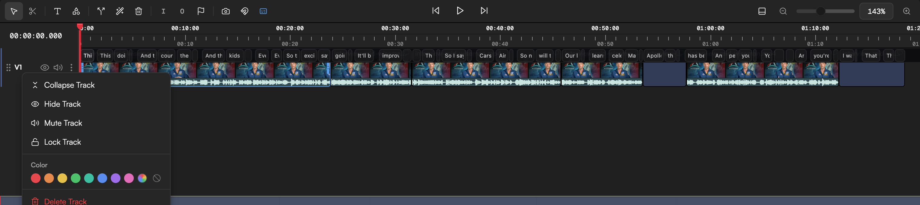The track header menu on a video track showing Collapse, Hide, Mute, Lock, Color swatches and Delete Track