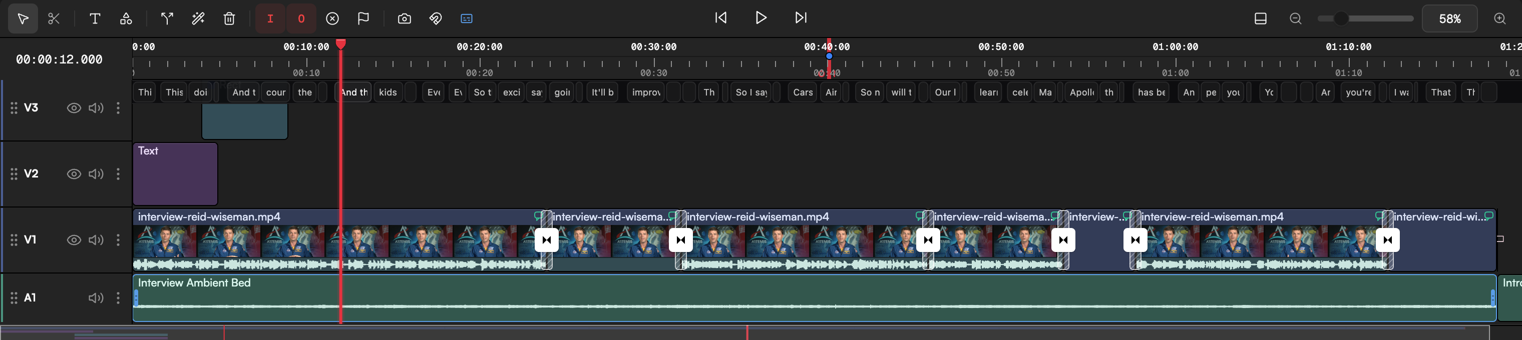 Generated narration clip on an audio track under the video, with the Inspector Audio section open