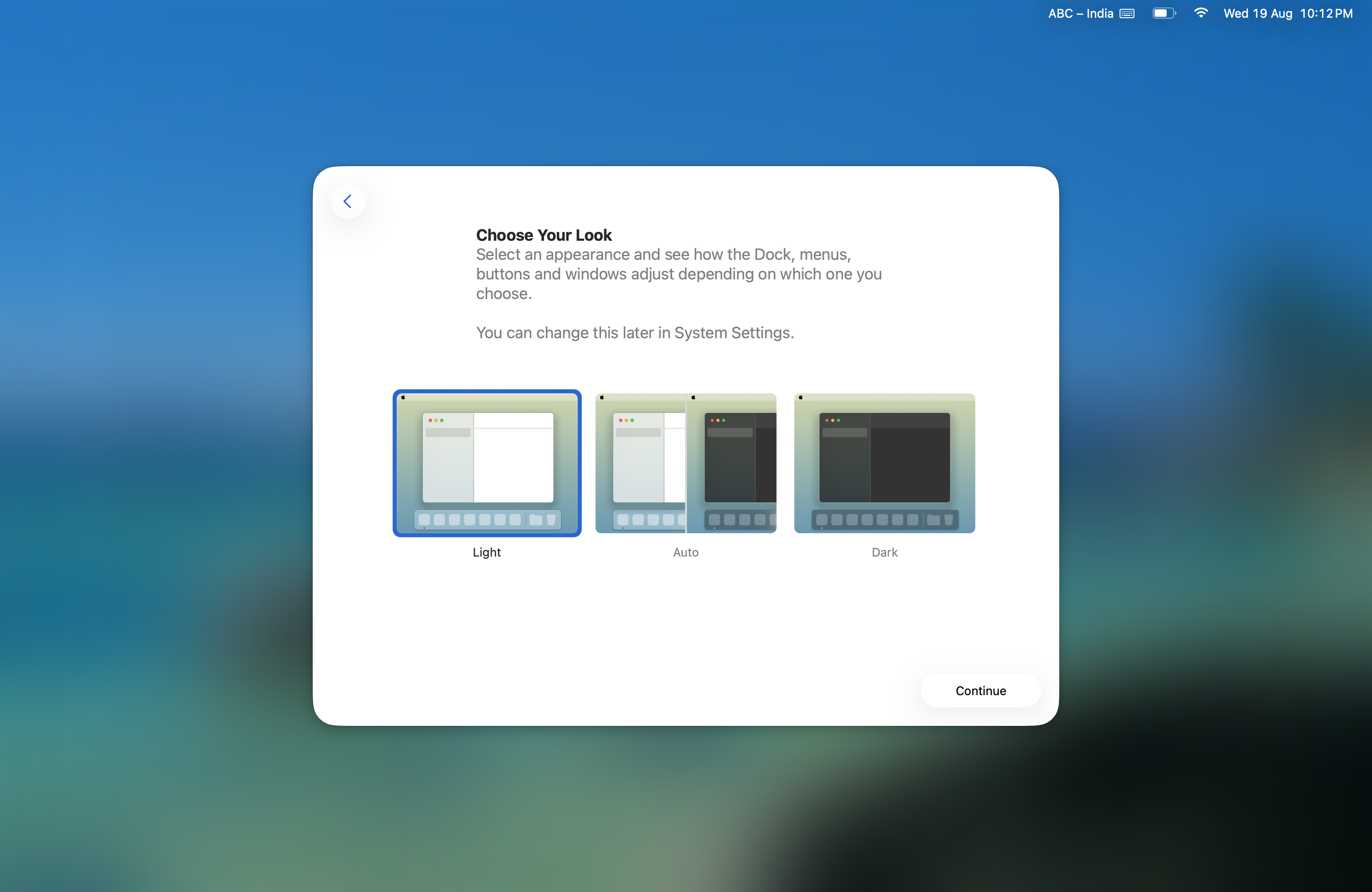 Choose Your Look screen near the end of profile setup