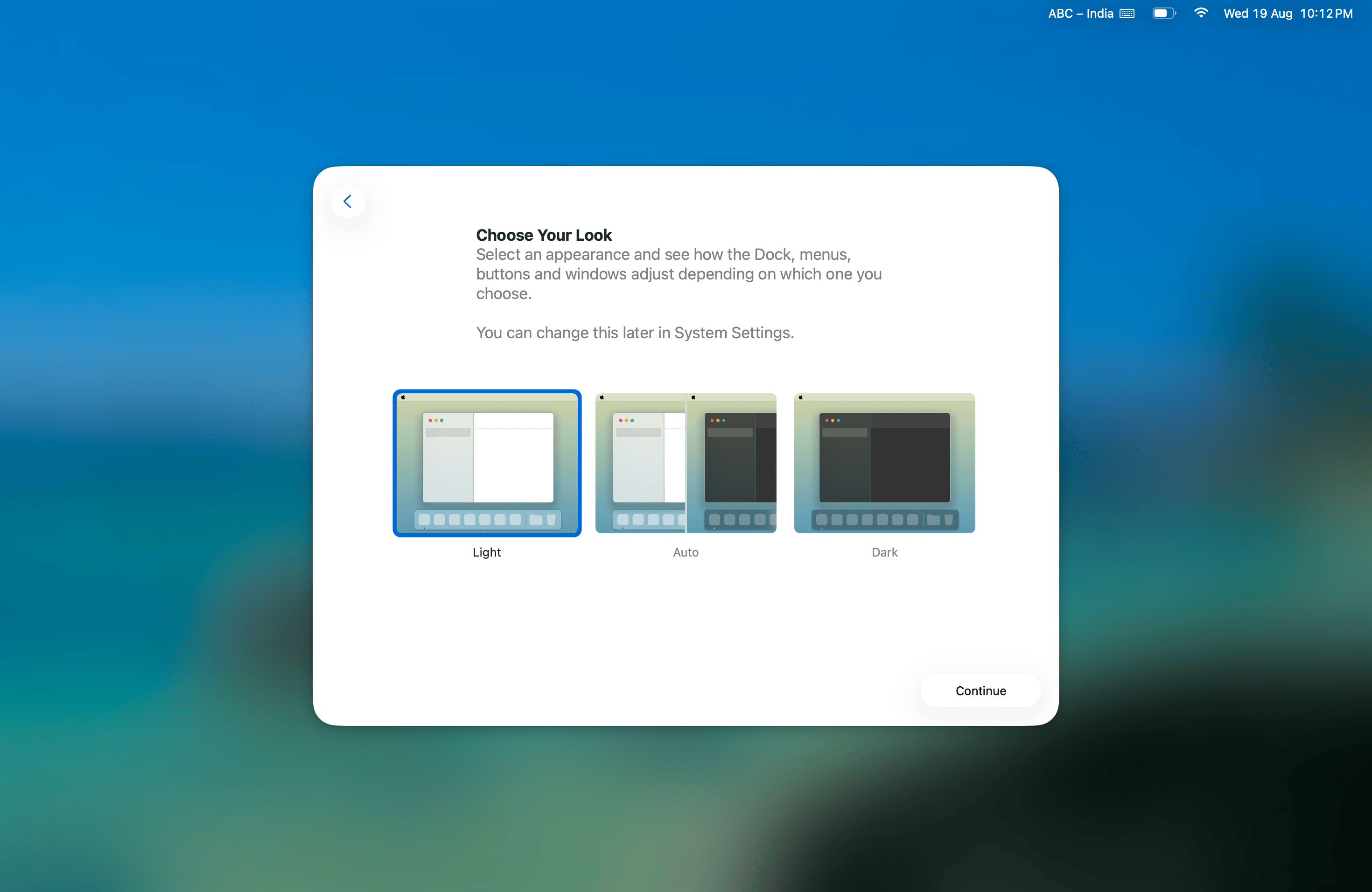 Choose Your Look screen near the end of profile setup