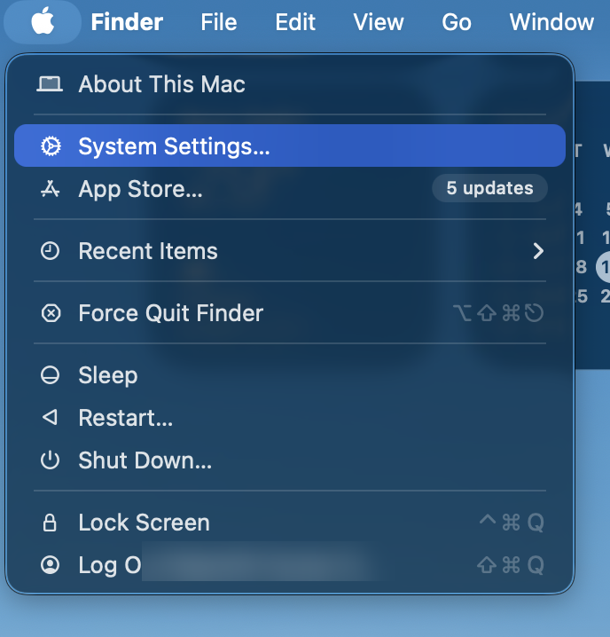 Open System Settings from the Apple menu