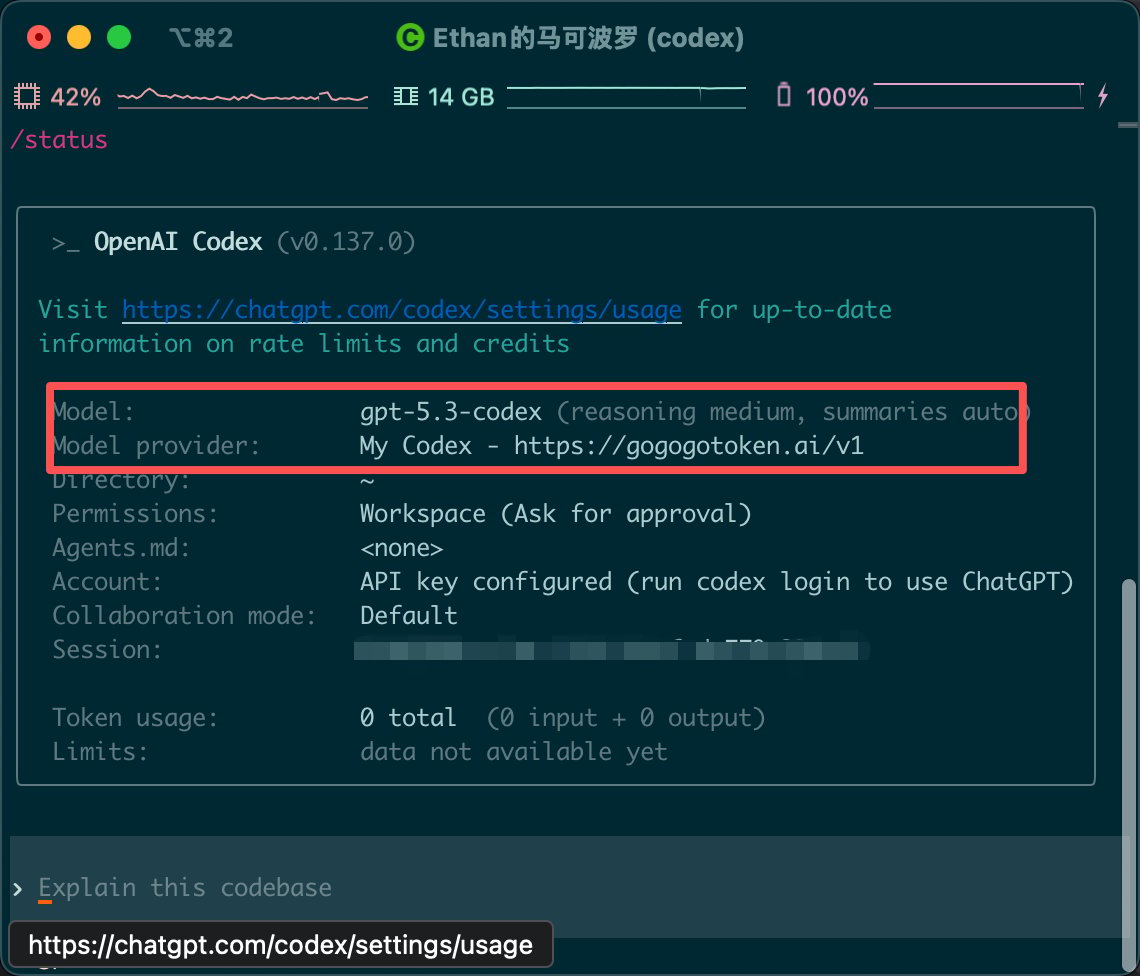 检查 Codex 当前供应商配置