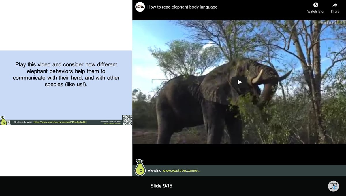 Student view of an embedded video on a website slide