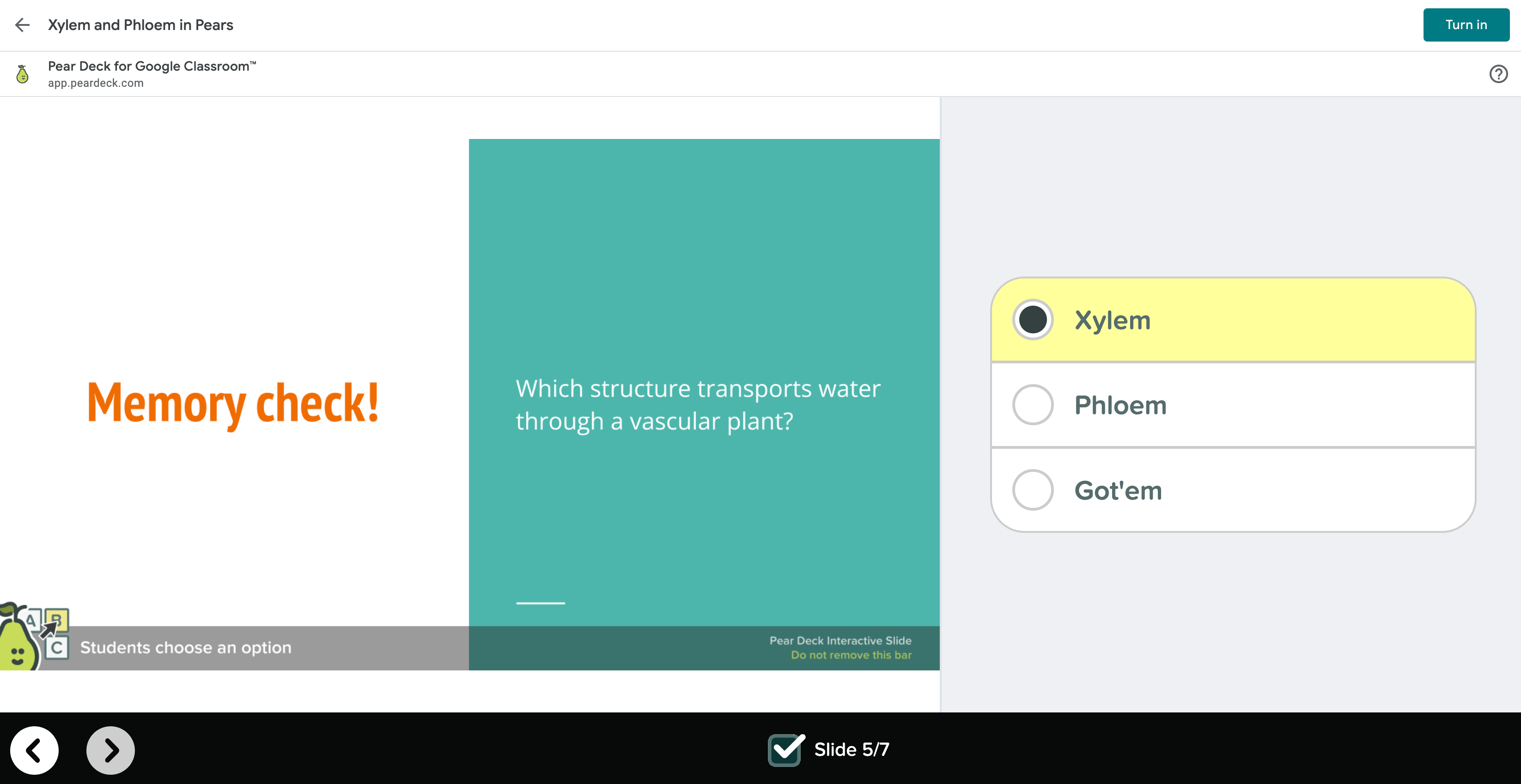 Student view of Google Classroom lesson