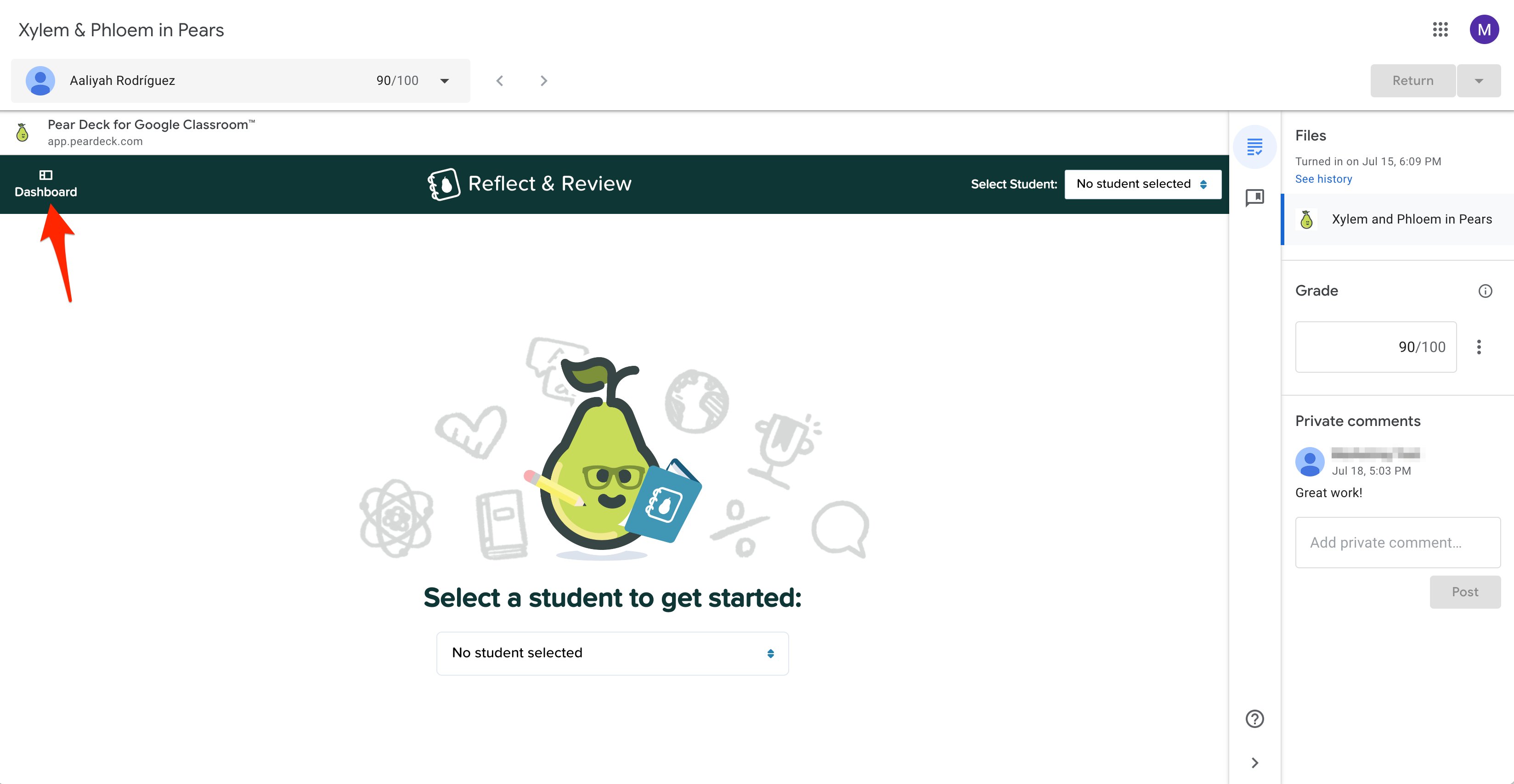 Red arrow pointing to the Teacher Dashboard button in Reflect & Review window